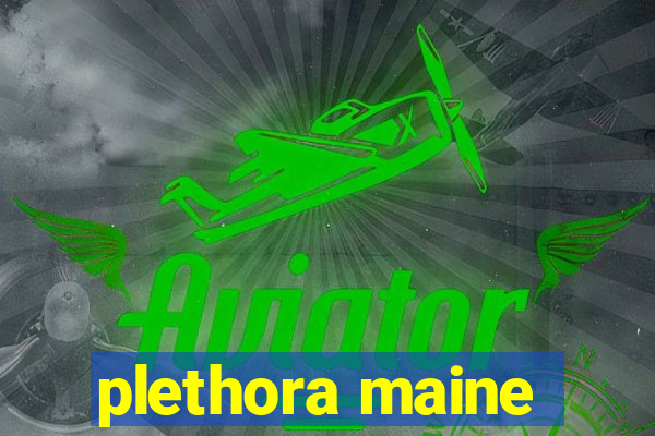 plethora maine